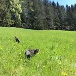 Bischofsberg - Lärchen-wellness Gasthof