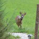 Bischofsberg - Lärchen-wellness
