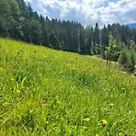 Bischofsberg - Laerchen-wellness Windischgarsten