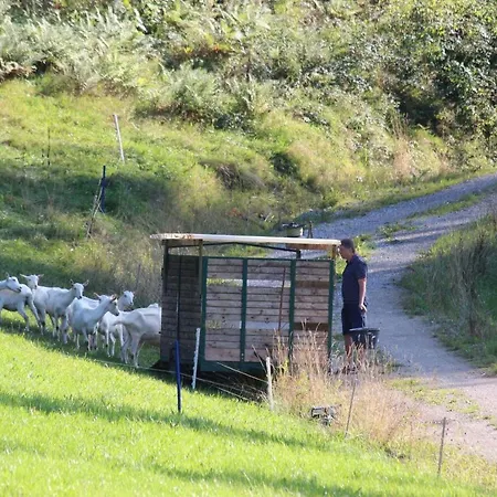 Bischofsberg - Laerchen-wellness Casa de hóspedes