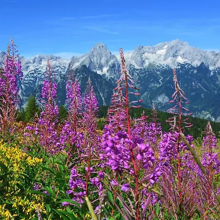 Bischofsberg - Laerchen-wellness Penzion