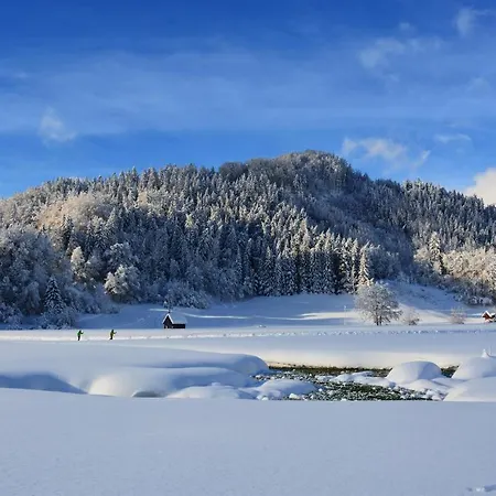 Vendégház Bischofsberg - Laerchen-wellness Windischgarsten
