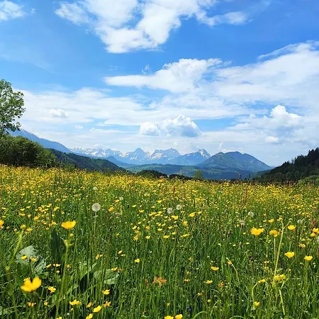 Bischofsberg - Laerchen-wellness Guest house *