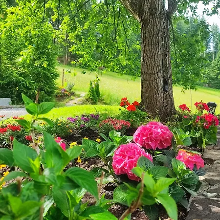 Bischofsberg - Laerchen-wellness 3*