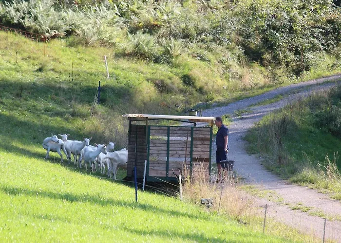 Bischofsberg - Laerchen-wellness בית הארחה