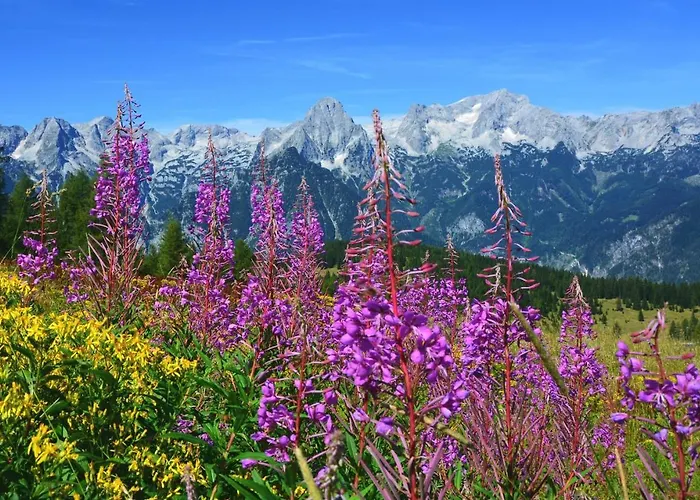 Bischofsberg - Laerchen-wellness بيت ضيافة