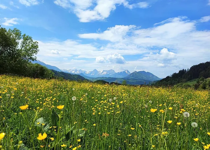 Bischofsberg - Laerchen-wellness بيت ضيافة 3*