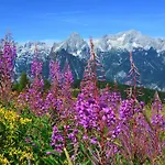 Bischofsberg - Laerchen-wellness Penzion