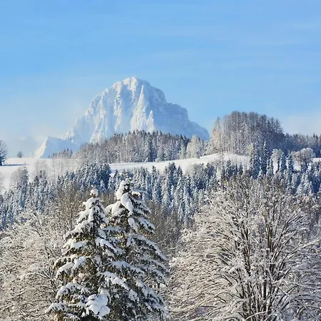 Bischofsberg *