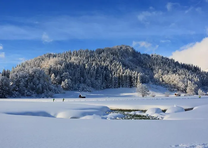 Πανσιόν Bischofsberg - Laerchen-wellness Windischgarsten
