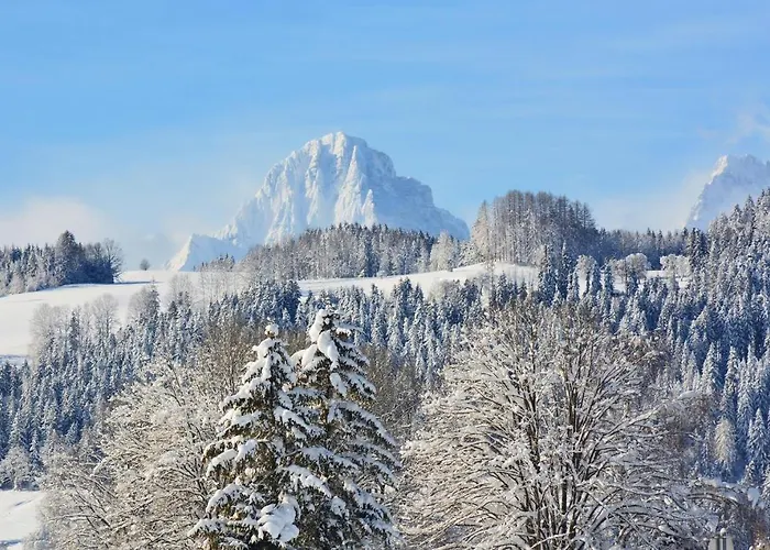 Bischofsberg - Laerchen-wellness 3*