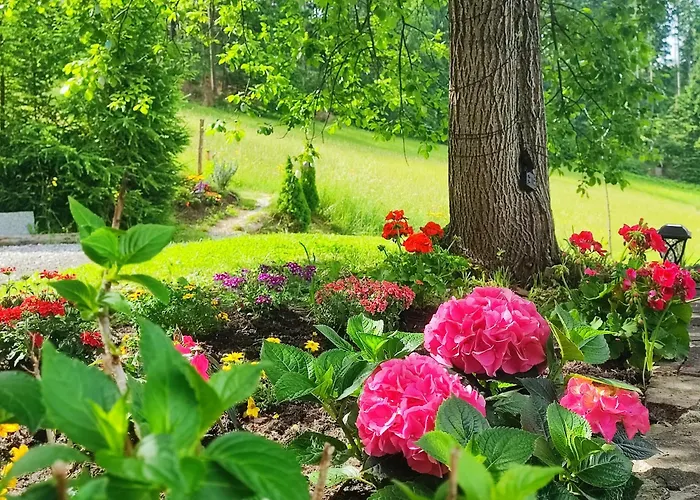 Bischofsberg - Laerchen-wellness 3*