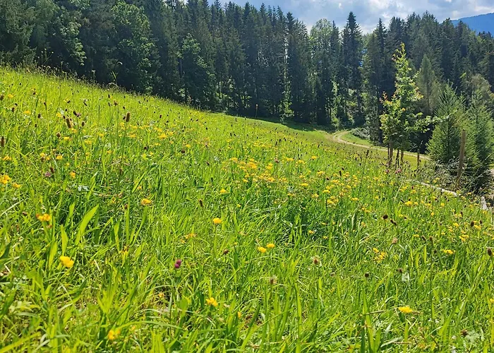 Bischofsberg - Laerchen-wellness Windischgarsten